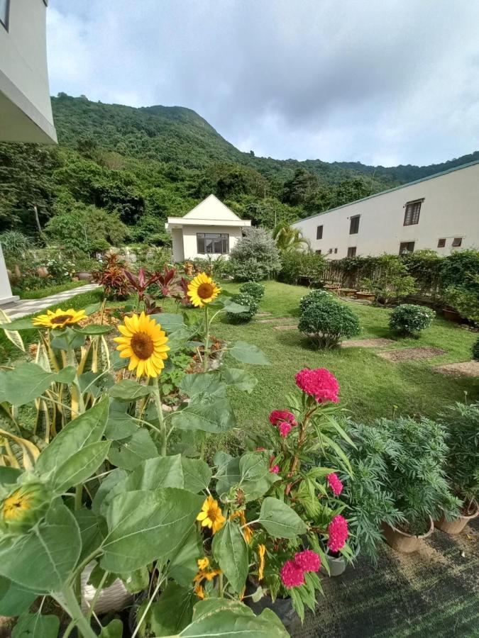 Garden House Con Dao Aparthotel Chi Khu Co Ong Exteriör bild
