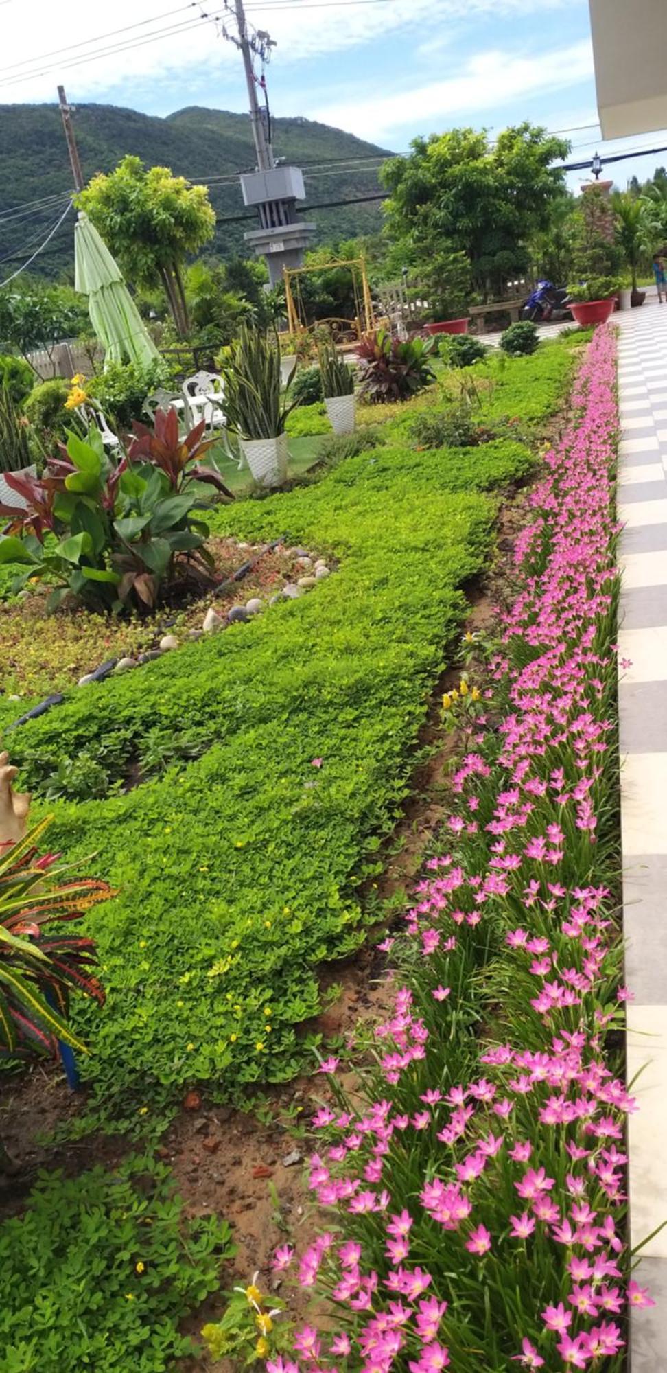 Garden House Con Dao Aparthotel Chi Khu Co Ong Exteriör bild